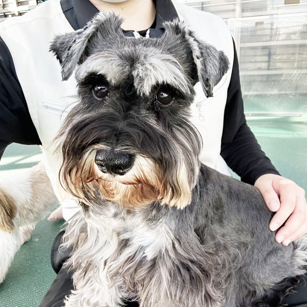 生徒が撮影したモデル犬写真②